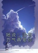 《她说：没有力气再爱你》小说全