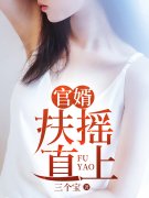 无删减精彩小说《官婿：扶摇直上