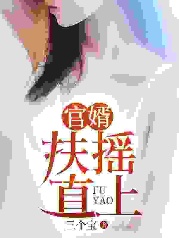 无删减精彩小说《官婿：扶摇直上》免费阅读