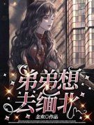 《弟弟想去缅北》精彩章节列表在