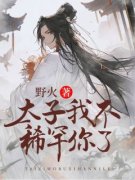 虐恋：太子，我不稀罕你了小说 阮