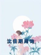 精品热文《沈佳期周询》沈佳期周