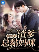 精品《离婚后渣爹总黏妈咪》小说