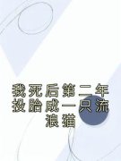 《我死后第二年投胎成一只流浪猫