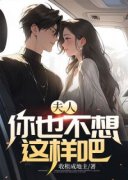 《夫人，你也不想这样吧》小说在
