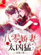 袁满满柳媛八零娇妻太凶猛结局完