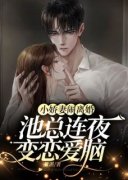 《小娇妻闹离婚，池总连夜变恋爱