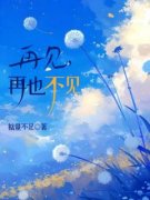 再见，再也不见于多多江白右小说