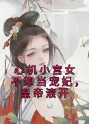 《苏锦周琰》心机小宫女不想当宠