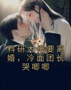 沈慕乔陆淮安全文免费阅读 科研大