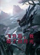 飞升后，我成了白月光小说全集免