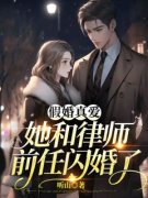 小说华浓陆敬安禁止离婚！陆律师