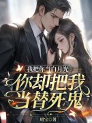 《程时安司晏清》完结版精彩试读