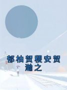 《郁柚贺稷安贺瀚之》小说免费阅