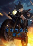 年轻气盛八皇子小说全集免费在线