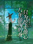 [宋湘顾辛白]八年舔狗的我，只为挖