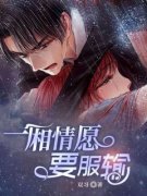 顾舟然林苏小说 《一厢情愿要服输