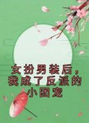 《女扮男装后，我成了反派的小团