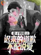 主角是程心韩英俊的小说 《妻子的