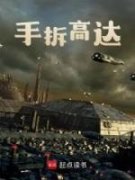 好书推荐《手拆高达》林奇苏雨桐