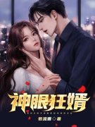 神眼狂婿全文精彩章节在线阅读（