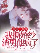 《重回三年前：我撕婚纱渣男他疯