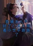 《程颂安崔元卿》小说章节列表精