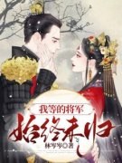 主角是我等的将军始终未归的小说
