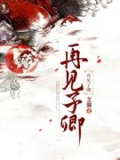 《再见子卿》小说全集免费在线阅