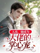 《阮倾倾夜慕白》小说免费试读 《