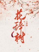 《酒子小石头》花辞树全文免费阅