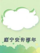 廉宁安许邵年全文免费试读 廉宁安