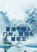 重回平妻入门时，我扭头嫁权王完