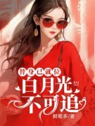 《白月光不可追，替身已就位》小