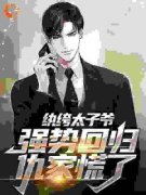 《李无忧苏岚》小说免费阅读 第