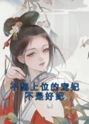 《不想上位的宠妃不是好妃》小说