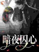 《暗夜囚心》小说全文精彩阅读 南