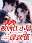 《分手后，被前任小舅肆意宠》小