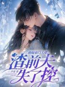 二婚嫁豪门大佬，渣前夫失了控精