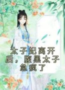 太子妃离开后，腹黑太子急疯了主