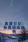 宋懿沈栖迟全文免费阅读 恋爱日记