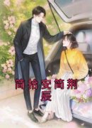 《简拾安简荆辰》小说章节目录免