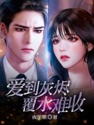 《爱到灰烬覆水难收》小说阅读 苏