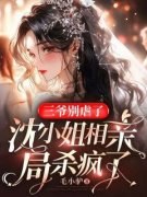 《三爷别虐了，沈小姐相亲局杀疯
