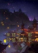 《江佳倩谢震》大结局精彩阅读 《