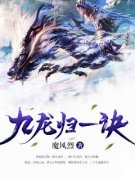 九龙归一诀陆沉周若雪小说全本免