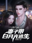 主角是傅砚陆明月的小说 《热气球