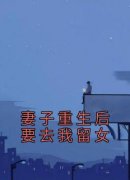 《妻子重生后要去我留女》小说在