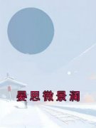 晏思微景澜晏思微景澜结局完整全