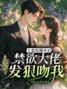 《时笙笙傅斯年》大结局在线阅读
